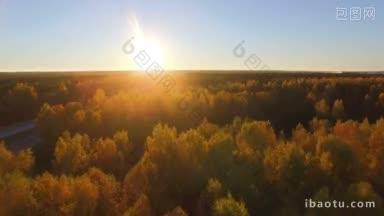 傍晚夕阳下，金色的混合硬木的空中全景